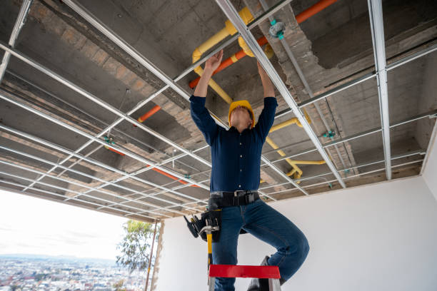 Best Local Plumber Services  in Holyoke, CO
